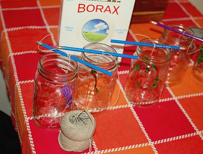 Wie man Borax Kristall-Verzierungen und Sun Catchers - Natur Moms Blog - Natur Moms