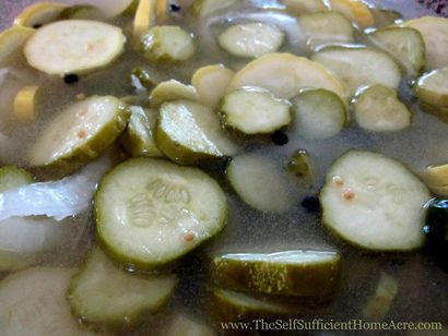 Wie man gepökelt Pickles - Das Selbst Ausreichende HomeAcre