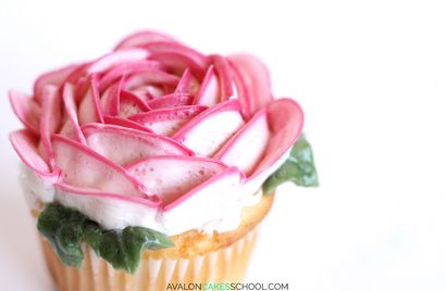 Wie man Butterblumen Cupcakes - Avalon Cakes