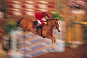 Wie man Cavaletti Polen - Wissen über das Leben