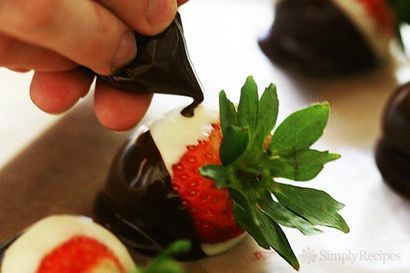 Comment faire du chocolat Fraises Tuxedo Trempé Recette