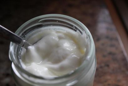 Wie man Creamy Selbst gemachten Joghurt