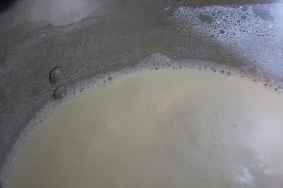 Wie man Creamy Selbst gemachten Joghurt