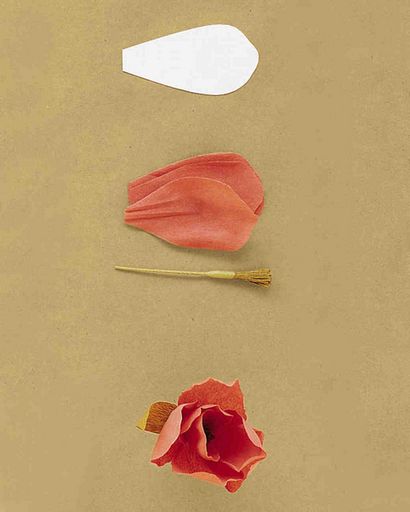 Comment faire des fleurs papier crépon, Martha Stewart Weddings
