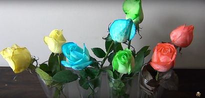 Comment faire de bricolage arc-Roses, Valentine - Day Arrangement de fleurs s