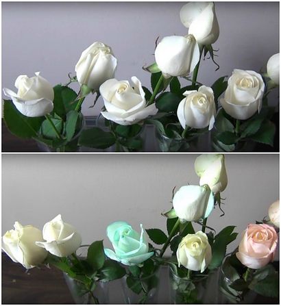 Comment faire de bricolage arc-Roses, Valentine - Day Arrangement de fleurs s