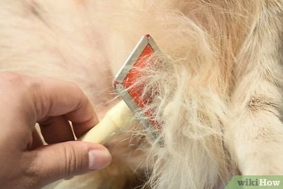 Comment faire pour chien fil 6 étapes (avec photos)