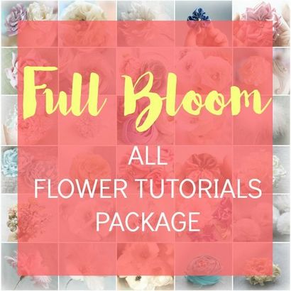 Comment faire Tissu fleurs, fleurs en plumes, fleurs en papier et Bows cheveux, Master Tutorial Collection