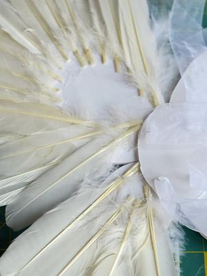 Comment faire Ange ou Feathered Fairy Wings, HGTV