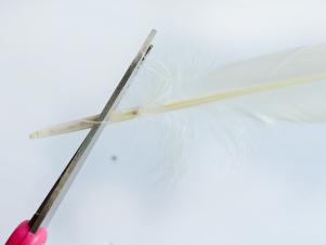 Comment faire Ange ou Feathered Fairy Wings, HGTV