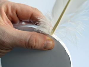 Comment faire Ange ou Feathered Fairy Wings, HGTV