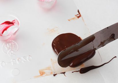 Comment faire pralines à la maison (chocolats) Comment faire Rempli chocolats à la maison