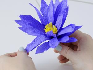 Comment faire des fleurs Utilisation du papier crépon, HGTV