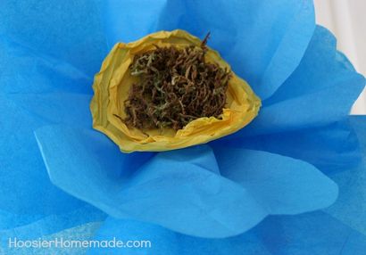 Wie machen Riesenseidenpapier Blumen - Hoosier Homemade