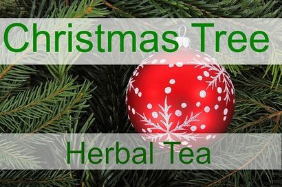Comment faire la guérison Herbal Remedies avec votre arbre de Noël