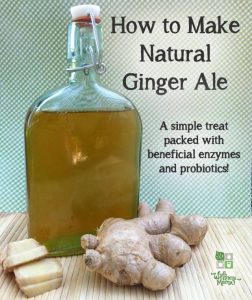 Comment faire en santé Ginger Ale, Wellness Mama (gingembre) Comment faire en bonne santé Ginger Ale, Bien-être maman