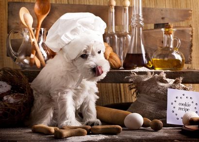 Wie man hausgemachtes Hundefutter 10 einfache Rezepte folgen - Pawsome Diskussion