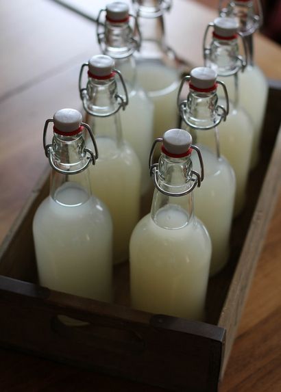 Comment faire Homemade Ginger Beer