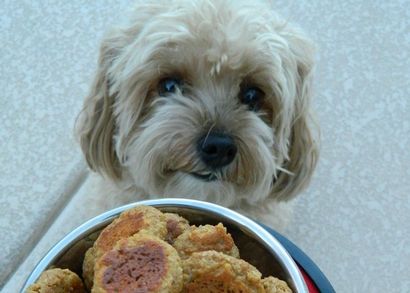 Comment faire Homemade Pet Food et des friandises - vaisselle Allrecipes