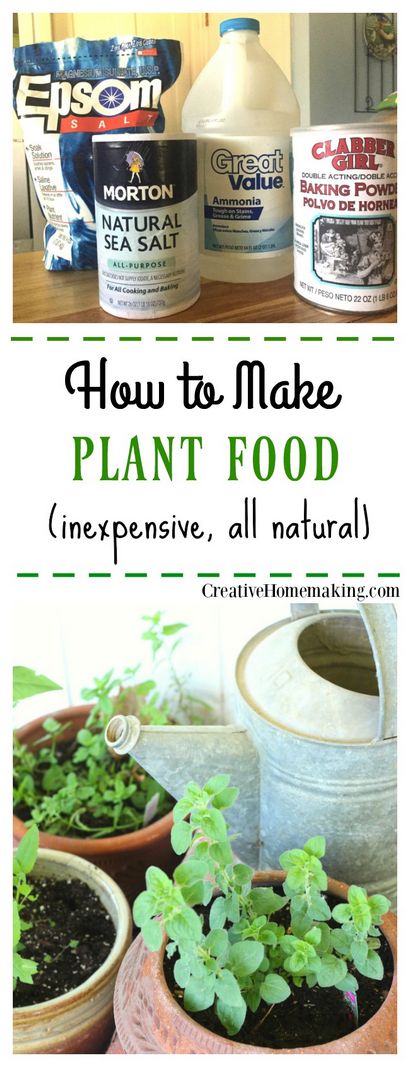 Comment faire Homemade Plant Food