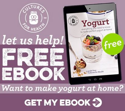 Wie man hausgemachte Joghurt Joghurt-Rezepte - How-to-Videos für die Herstellung der Joghurt zu Hause - Kulturen für
