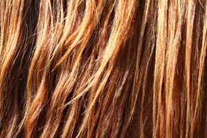 Wie man Horse Hair Quasten - Wissen über das Leben