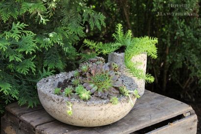 Comment faire Hypertufa Planters - Maison de Hawthornes