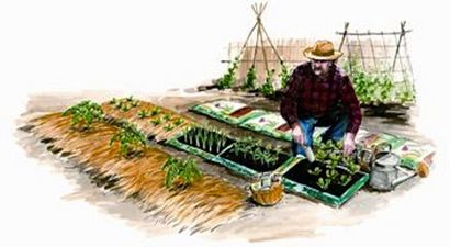 Comment faire les lits de jardin instantané - Jardin bio - TERRE MÈRE NOUVELLES