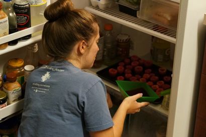 Comment faire Jello Shots dans les fraises - Nous - re appel Shenanigans