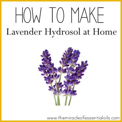 Wie man Lavendel Hydrosol zu Hause - Das Wunder von ätherischen Ölen