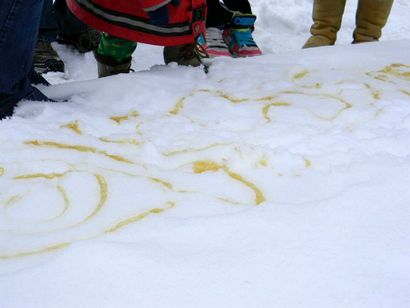 Comment faire du sirop d'érable et du sirop d'érable de remplacement