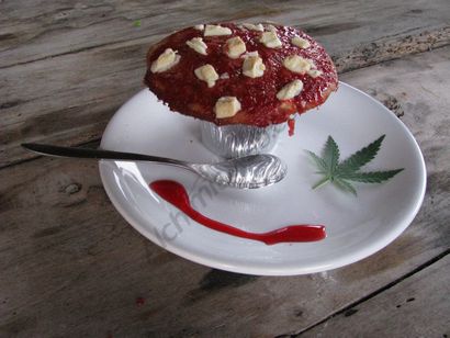 Comment faire des muffins au chocolat de marijuana - blog Alchimia