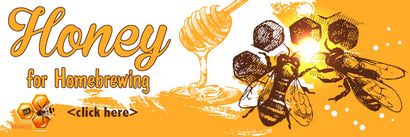 Comment faire Mead à la maison - Étapes à suivre pour Brewing Mead au miel