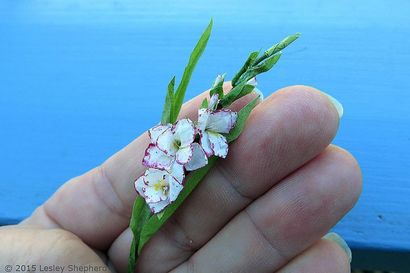 Comment faire pour Miniature glaïeul ou Jardins Dollhouse Bouquets