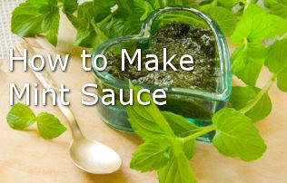 Comment faire la sauce à la menthe avec des recettes