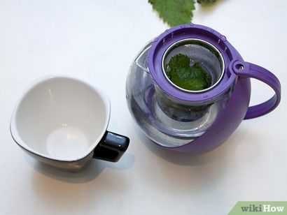Comment faire Ortie thé étapes 10 (avec photos)