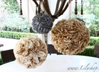 Wie man Party-Poms, Lilyshop von Jessie Daye