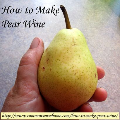 Comment faire poire vin - Common Sense Homesteading