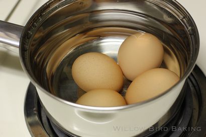 Comment rendre parfait, facile à Peel Boiled Eggs - Willow oiseaux de cuisson