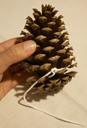 Comment faire Pinecone Firestarters - Oiseaux and Blooms