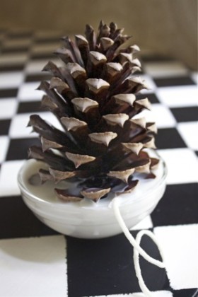 Comment faire Pinecone Firestarters - Oiseaux and Blooms