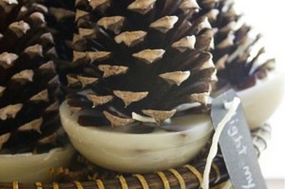 Comment faire Pinecone Firestarters - Oiseaux and Blooms