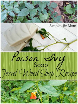Comment faire du savon Poison Ivy avec Jewelweed - Réseau Bloggers Homestead