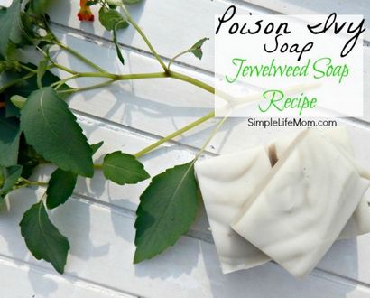 Comment faire du savon Poison Ivy avec Jewelweed -Simple vie maman