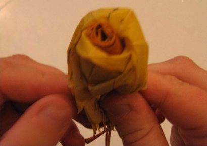 Wie man Hübsche Rosen aus Ahorn-Blätter Stellen