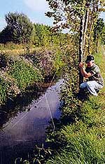 Comment faire des lances pour la pêche