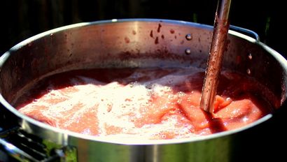 Wie man Strawberry Mondenschein, American Home Distillers Verband