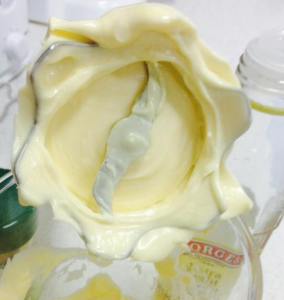 How-To Make (le meilleur!) Mayonnaise à la maison (Paleo, Whole30), The Golden Graham Girl (comment faire la mayonnaise à la maison) How-To Make (le meilleur!) Mayonnaise à la maison (Paleo, Whole30), The Golden Graham Fille