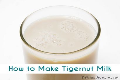 Wie man Tigernut Milk (ein milchfrei, AIP freundliches Getränk)