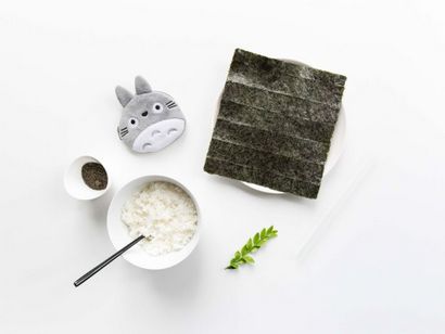 Wie man Totoro Reis-Kuchen